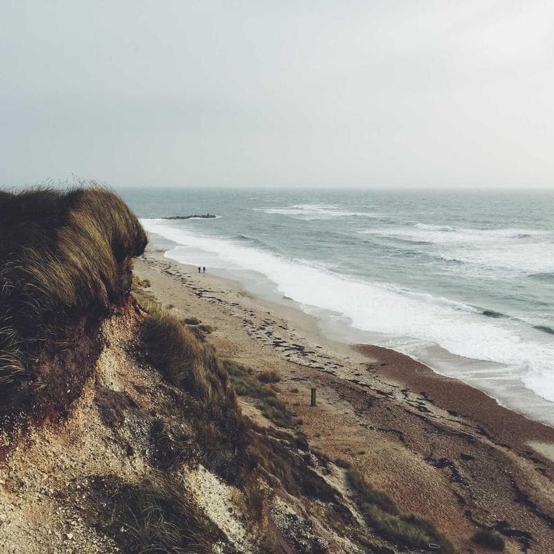 Rolex Cosmograph Daytona 116500LN White Panda Dial